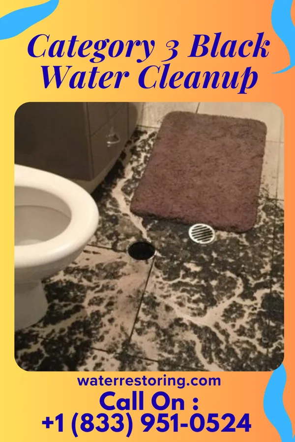Category 3 Black Water Cleanup in Westphalia, KS
