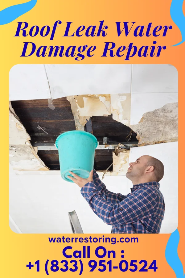 Roof Leak Water Damage Repair in Westphalia, KS